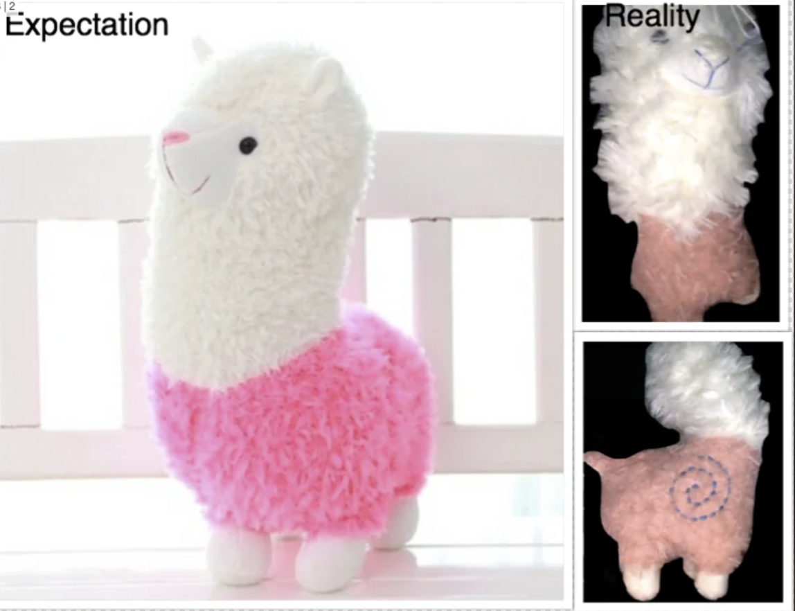 stuffed toy - Expectation Reality